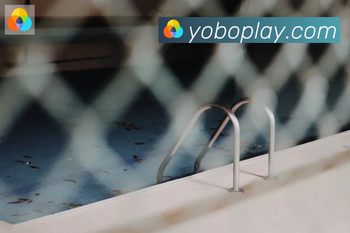 YOBO体育荣誉